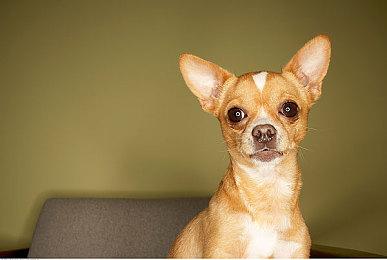 传闻：Xbox第一方游戏《Everwild》开发进展顺利